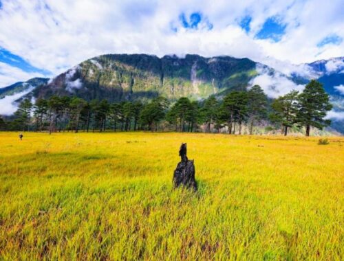 Roing,Arunachal Pradesh