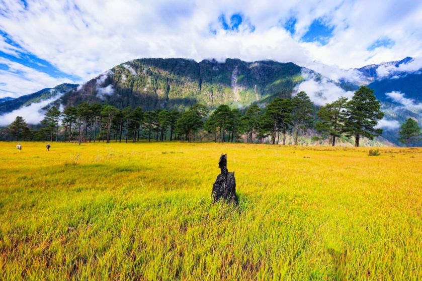 Roing,Arunachal Pradesh