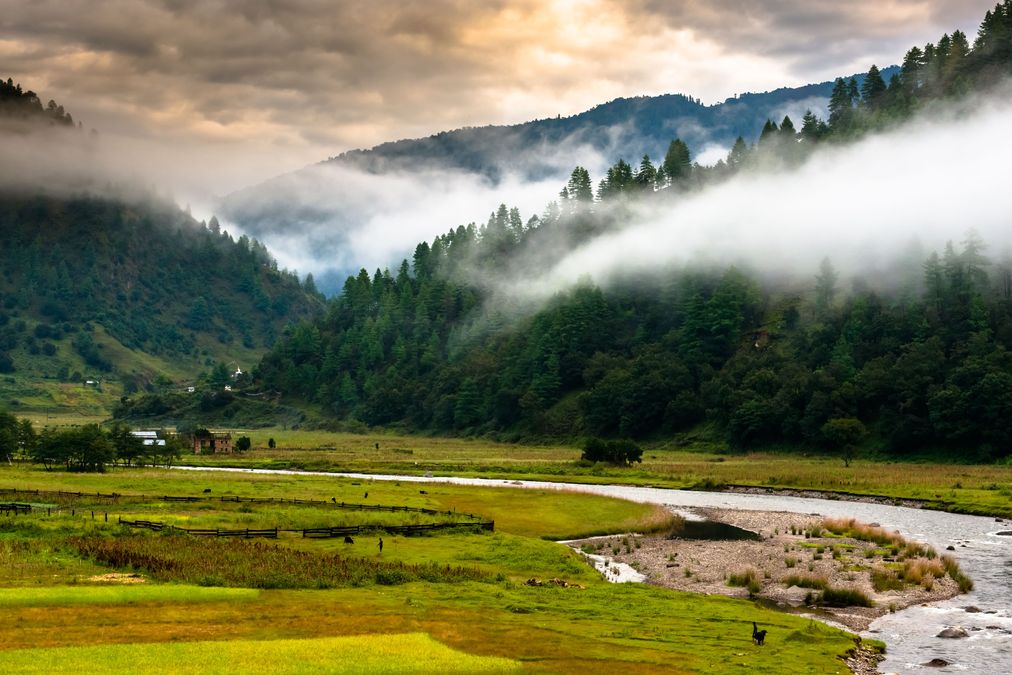 Sangti Vally,Dirang,Arunachal Pradesh