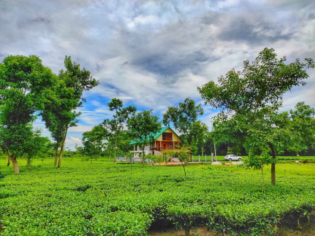 jalpaiguri,west bengal