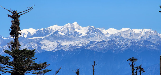 {"type":"elementor","siteurl":"https://hillstarholidays.co.in/wp-json/","elements":[{"id":"c5fcc87","elType":"container","isInner":false,"isLocked":false,"settings":{"container_type":"flex","content_width":"boxed","width":{"unit":"%","size":"","sizes":[]},"width_tablet":{"unit":"px","size":"","sizes":[]},"width_mobile":{"unit":"px","size":"","sizes":[]},"boxed_width":{"unit":"px","size":"","sizes":[]},"boxed_width_tablet":{"unit":"px","size":"","sizes":[]},"boxed_width_mobile":{"unit":"px","size":"","sizes":[]},"min_height":{"unit":"px","size":"","sizes":[]},"min_height_tablet":{"unit":"px","size":"","sizes":[]},"min_height_mobile":{"unit":"px","size":"","sizes":[]},"flex_direction":"","flex_direction_tablet":"","flex_direction_mobile":"","flex__is_row":"row","flex__is_column":"column","flex_justify_content":"","flex_justify_content_tablet":"","flex_justify_content_mobile":"","flex_align_items":"","flex_align_items_tablet":"","flex_align_items_mobile":"","flex_gap":{"column":"","row":"","isLinked":true,"unit":"px"},"flex_gap_tablet":{"column":"","row":"","isLinked":true,"unit":"px"},"flex_gap_mobile":{"column":"","row":"","isLinked":true,"unit":"px"},"flex_wrap":"","flex_wrap_tablet":"","flex_wrap_mobile":"","flex_align_content":"","flex_align_content_tablet":"","flex_align_content_mobile":"","grid_outline":"yes","grid_columns_grid":{"unit":"fr","size":3,"sizes":[]},"grid_columns_grid_tablet":{"unit":"fr","size":"","sizes":[]},"grid_columns_grid_mobile":{"unit":"fr","size":1,"sizes":[]},"grid_rows_grid":{"unit":"fr","size":2,"sizes":[]},"grid_rows_grid_tablet":{"unit":"fr","size":"","sizes":[]},"grid_rows_grid_mobile":{"unit":"fr","size":"","sizes":[]},"grid_gaps":{"column":"","row":"","isLinked":true,"unit":"px"},"grid_gaps_tablet":{"column":"","row":"","isLinked":true,"unit":"px"},"grid_gaps_mobile":{"column":"","row":"","isLinked":true,"unit":"px"},"grid_auto_flow":"row","grid_auto_flow_tablet":"row","grid_auto_flow_mobile":"row","grid_justify_items":"","grid_justify_items_tablet":"","grid_justify_items_mobile":"","grid_align_items":"","grid_align_items_tablet":"","grid_align_items_mobile":"","grid_justify_content":"","grid_justify_content_tablet":"","grid_justify_content_mobile":"","grid_align_content":"","grid_align_content_tablet":"","grid_align_content_mobile":"","grid__is_row":"row","grid__is_column":"column","overflow":"","html_tag":"","link":{"url":"","is_external":"","nofollow":"","custom_attributes":""},"background_background":"","background_color":"","background_color_stop":{"unit":"%","size":0,"sizes":[]},"background_color_stop_tablet":{"unit":"%"},"background_color_stop_mobile":{"unit":"%"},"background_color_b":"#f2295b","background_color_b_stop":{"unit":"%","size":100,"sizes":[]},"background_color_b_stop_tablet":{"unit":"%"},"background_color_b_stop_mobile":{"unit":"%"},"background_gradient_type":"linear","background_gradient_angle":{"unit":"deg","size":180,"sizes":[]},"background_gradient_angle_tablet":{"unit":"deg"},"background_gradient_angle_mobile":{"unit":"deg"},"background_gradient_position":"center center","background_gradient_position_tablet":"","background_gradient_position_mobile":"","background_image":{"url":"","id":"","size":""},"background_image_tablet":{"url":"","id":"","size":""},"background_image_mobile":{"url":"","id":"","size":""},"background_position":"","background_position_tablet":"","background_position_mobile":"","background_xpos":{"unit":"px","size":0,"sizes":[]},"background_xpos_tablet":{"unit":"px","size":0,"sizes":[]},"background_xpos_mobile":{"unit":"px","size":0,"sizes":[]},"background_ypos":{"unit":"px","size":0,"sizes":[]},"background_ypos_tablet":{"unit":"px","size":0,"sizes":[]},"background_ypos_mobile":{"unit":"px","size":0,"sizes":[]},"background_attachment":"","background_repeat":"","background_repeat_tablet":"","background_repeat_mobile":"","background_size":"","background_size_tablet":"","background_size_mobile":"","background_bg_width":{"unit":"%","size":100,"sizes":[]},"background_bg_width_tablet":{"unit":"px","size":"","sizes":[]},"background_bg_width_mobile":{"unit":"px","size":"","sizes":[]},"background_video_link":"","background_video_start":"","background_video_end":"","background_play_once":"","background_play_on_mobile":"","background_privacy_mode":"","background_video_fallback":{"url":"","id":"","size":""},"background_slideshow_gallery":[],"background_slideshow_loop":"yes","background_slideshow_slide_duration":5000,"background_slideshow_slide_transition":"fade","background_slideshow_transition_duration":500,"background_slideshow_background_size":"","background_slideshow_background_size_tablet":"","background_slideshow_background_size_mobile":"","background_slideshow_background_position":"","background_slideshow_background_position_tablet":"","background_slideshow_background_position_mobile":"","background_slideshow_lazyload":"","background_slideshow_ken_burns":"","background_slideshow_ken_burns_zoom_direction":"in","handle_slideshow_asset_loading":"","background_hover_background":"","background_hover_color":"","background_hover_color_stop":{"unit":"%","size":0,"sizes":[]},"background_hover_color_stop_tablet":{"unit":"%"},"background_hover_color_stop_mobile":{"unit":"%"},"background_hover_color_b":"#f2295b","background_hover_color_b_stop":{"unit":"%","size":100,"sizes":[]},"background_hover_color_b_stop_tablet":{"unit":"%"},"background_hover_color_b_stop_mobile":{"unit":"%"},"background_hover_gradient_type":"linear","background_hover_gradient_angle":{"unit":"deg","size":180,"sizes":[]},"background_hover_gradient_angle_tablet":{"unit":"deg"},"background_hover_gradient_angle_mobile":{"unit":"deg"},"background_hover_gradient_position":"center center","background_hover_gradient_position_tablet":"","background_hover_gradient_position_mobile":"","background_hover_image":{"url":"","id":"","size":""},"background_hover_image_tablet":{"url":"","id":"","size":""},"background_hover_image_mobile":{"url":"","id":"","size":""},"background_hover_position":"","background_hover_position_tablet":"","background_hover_position_mobile":"","background_hover_xpos":{"unit":"px","size":0,"sizes":[]},"background_hover_xpos_tablet":{"unit":"px","size":0,"sizes":[]},"background_hover_xpos_mobile":{"unit":"px","size":0,"sizes":[]},"background_hover_ypos":{"unit":"px","size":0,"sizes":[]},"background_hover_ypos_tablet":{"unit":"px","size":0,"sizes":[]},"background_hover_ypos_mobile":{"unit":"px","size":0,"sizes":[]},"background_hover_attachment":"","background_hover_repeat":"","background_hover_repeat_tablet":"","background_hover_repeat_mobile":"","background_hover_size":"","background_hover_size_tablet":"","background_hover_size_mobile":"","background_hover_bg_width":{"unit":"%","size":100,"sizes":[]},"background_hover_bg_width_tablet":{"unit":"px","size":"","sizes":[]},"background_hover_bg_width_mobile":{"unit":"px","size":"","sizes":[]},"background_hover_video_link":"","background_hover_video_start":"","background_hover_video_end":"","background_hover_play_once":"","background_hover_play_on_mobile":"","background_hover_privacy_mode":"","background_hover_video_fallback":{"url":"","id":"","size":""},"background_hover_slideshow_gallery":[],"background_hover_slideshow_loop":"yes","background_hover_slideshow_slide_duration":5000,"background_hover_slideshow_slide_transition":"fade","background_hover_slideshow_transition_duration":500,"background_hover_slideshow_background_size":"","background_hover_slideshow_background_size_tablet":"","background_hover_slideshow_background_size_mobile":"","background_hover_slideshow_background_position":"","background_hover_slideshow_background_position_tablet":"","background_hover_slideshow_background_position_mobile":"","background_hover_slideshow_lazyload":"","background_hover_slideshow_ken_burns":"","background_hover_slideshow_ken_burns_zoom_direction":"in","background_hover_transition":{"unit":"px","size":0.3,"sizes":[]},"background_overlay_background":"","background_overlay_color":"","background_overlay_color_stop":{"unit":"%","size":0,"sizes":[]},"background_overlay_color_stop_tablet":{"unit":"%"},"background_overlay_color_stop_mobile":{"unit":"%"},"background_overlay_color_b":"#f2295b","background_overlay_color_b_stop":{"unit":"%","size":100,"sizes":[]},"background_overlay_color_b_stop_tablet":{"unit":"%"},"background_overlay_color_b_stop_mobile":{"unit":"%"},"background_overlay_gradient_type":"linear","background_overlay_gradient_angle":{"unit":"deg","size":180,"sizes":[]},"background_overlay_gradient_angle_tablet":{"unit":"deg"},"background_overlay_gradient_angle_mobile":{"unit":"deg"},"background_overlay_gradient_position":"center center","background_overlay_gradient_position_tablet":"","background_overlay_gradient_position_mobile":"","background_overlay_image":{"url":"","id":"","size":""},"background_overlay_image_tablet":{"url":"","id":"","size":""},"background_overlay_image_mobile":{"url":"","id":"","size":""},"background_overlay_position":"","background_overlay_position_tablet":"","background_overlay_position_mobile":"","background_overlay_xpos":{"unit":"px","size":0,"sizes":[]},"background_overlay_xpos_tablet":{"unit":"px","size":0,"sizes":[]},"background_overlay_xpos_mobile":{"unit":"px","size":0,"sizes":[]},"background_overlay_ypos":{"unit":"px","size":0,"sizes":[]},"background_overlay_ypos_tablet":{"unit":"px","size":0,"sizes":[]},"background_overlay_ypos_mobile":{"unit":"px","size":0,"sizes":[]},"background_overlay_attachment":"","background_overlay_repeat":"","background_overlay_repeat_tablet":"","background_overlay_repeat_mobile":"","background_overlay_size":"","background_overlay_size_tablet":"","background_overlay_size_mobile":"","background_overlay_bg_width":{"unit":"%","size":100,"sizes":[]},"background_overlay_bg_width_tablet":{"unit":"px","size":"","sizes":[]},"background_overlay_bg_width_mobile":{"unit":"px","size":"","sizes":[]},"background_overlay_video_link":"","background_overlay_video_start":"","background_overlay_video_end":"","background_overlay_play_once":"","background_overlay_play_on_mobile":"","background_overlay_privacy_mode":"","background_overlay_video_fallback":{"url":"","id":"","size":""},"background_overlay_slideshow_gallery":[],"background_overlay_slideshow_loop":"yes","background_overlay_slideshow_slide_duration":5000,"background_overlay_slideshow_slide_transition":"fade","background_overlay_slideshow_transition_duration":500,"background_overlay_slideshow_background_size":"","background_overlay_slideshow_background_size_tablet":"","background_overlay_slideshow_background_size_mobile":"","background_overlay_slideshow_background_position":"","background_overlay_slideshow_background_position_tablet":"","background_overlay_slideshow_background_position_mobile":"","background_overlay_slideshow_lazyload":"","background_overlay_slideshow_ken_burns":"","background_overlay_slideshow_ken_burns_zoom_direction":"in","background_overlay_opacity":{"unit":"px","size":0.5,"sizes":[]},"background_overlay_opacity_tablet":{"unit":"px","size":"","sizes":[]},"background_overlay_opacity_mobile":{"unit":"px","size":"","sizes":[]},"css_filters_css_filter":"","css_filters_blur":{"unit":"px","size":0,"sizes":[]},"css_filters_brightness":{"unit":"px","size":100,"sizes":[]},"css_filters_contrast":{"unit":"px","size":100,"sizes":[]},"css_filters_saturate":{"unit":"px","size":100,"sizes":[]},"css_filters_hue":{"unit":"px","size":0,"sizes":[]},"overlay_blend_mode":"","background_overlay_hover_background":"","background_overlay_hover_color":"","background_overlay_hover_color_stop":{"unit":"%","size":0,"sizes":[]},"background_overlay_hover_color_stop_tablet":{"unit":"%"},"background_overlay_hover_color_stop_mobile":{"unit":"%"},"background_overlay_hover_color_b":"#f2295b","background_overlay_hover_color_b_stop":{"unit":"%","size":100,"sizes":[]},"background_overlay_hover_color_b_stop_tablet":{"unit":"%"},"background_overlay_hover_color_b_stop_mobile":{"unit":"%"},"background_overlay_hover_gradient_type":"linear","background_overlay_hover_gradient_angle":{"unit":"deg","size":180,"sizes":[]},"background_overlay_hover_gradient_angle_tablet":{"unit":"deg"},"background_overlay_hover_gradient_angle_mobile":{"unit":"deg"},"background_overlay_hover_gradient_position":"center center","background_overlay_hover_gradient_position_tablet":"","background_overlay_hover_gradient_position_mobile":"","background_overlay_hover_image":{"url":"","id":"","size":""},"background_overlay_hover_image_tablet":{"url":"","id":"","size":""},"background_overlay_hover_image_mobile":{"url":"","id":"","size":""},"background_overlay_hover_position":"","background_overlay_hover_position_tablet":"","background_overlay_hover_position_mobile":"","background_overlay_hover_xpos":{"unit":"px","size":0,"sizes":[]},"background_overlay_hover_xpos_tablet":{"unit":"px","size":0,"sizes":[]},"background_overlay_hover_xpos_mobile":{"unit":"px","size":0,"sizes":[]},"background_overlay_hover_ypos":{"unit":"px","size":0,"sizes":[]},"background_overlay_hover_ypos_tablet":{"unit":"px","size":0,"sizes":[]},"background_overlay_hover_ypos_mobile":{"unit":"px","size":0,"sizes":[]},"background_overlay_hover_attachment":"","background_overlay_hover_repeat":"","background_overlay_hover_repeat_tablet":"","background_overlay_hover_repeat_mobile":"","background_overlay_hover_size":"","background_overlay_hover_size_tablet":"","background_overlay_hover_size_mobile":"","background_overlay_hover_bg_width":{"unit":"%","size":100,"sizes":[]},"background_overlay_hover_bg_width_tablet":{"unit":"px","size":"","sizes":[]},"background_overlay_hover_bg_width_mobile":{"unit":"px","size":"","sizes":[]},"background_overlay_hover_video_link":"","background_overlay_hover_video_start":"","background_overlay_hover_video_end":"","background_overlay_hover_play_once":"","background_overlay_hover_play_on_mobile":"","background_overlay_hover_privacy_mode":"","background_overlay_hover_video_fallback":{"url":"","id":"","size":""},"background_overlay_hover_slideshow_gallery":[],"background_overlay_hover_slideshow_loop":"yes","background_overlay_hover_slideshow_slide_duration":5000,"background_overlay_hover_slideshow_slide_transition":"fade","background_overlay_hover_slideshow_transition_duration":500,"background_overlay_hover_slideshow_background_size":"","background_overlay_hover_slideshow_background_size_tablet":"","background_overlay_hover_slideshow_background_size_mobile":"","background_overlay_hover_slideshow_background_position":"","background_overlay_hover_slideshow_background_position_tablet":"","background_overlay_hover_slideshow_background_position_mobile":"","background_overlay_hover_slideshow_lazyload":"","background_overlay_hover_slideshow_ken_burns":"","background_overlay_hover_slideshow_ken_burns_zoom_direction":"in","background_overlay_hover_opacity":{"unit":"px","size":0.5,"sizes":[]},"background_overlay_hover_opacity_tablet":{"unit":"px","size":"","sizes":[]},"background_overlay_hover_opacity_mobile":{"unit":"px","size":"","sizes":[]},"background_overlay_hover_transition":{"unit":"px","size":"","sizes":[]},"css_filters_hover_css_filter":"","css_filters_hover_blur":{"unit":"px","size":0,"sizes":[]},"css_filters_hover_brightness":{"unit":"px","size":100,"sizes":[]},"css_filters_hover_contrast":{"unit":"px","size":100,"sizes":[]},"css_filters_hover_saturate":{"unit":"px","size":100,"sizes":[]},"css_filters_hover_hue":{"unit":"px","size":0,"sizes":[]},"border_border":"","border_width":{"unit":"px","top":"","right":"","bottom":"","left":"","isLinked":true},"border_width_tablet":{"unit":"px","top":"","right":"","bottom":"","left":"","isLinked":true},"border_width_mobile":{"unit":"px","top":"","right":"","bottom":"","left":"","isLinked":true},"border_color":"","border_radius":{"unit":"px","top":"","right":"","bottom":"","left":"","isLinked":true},"border_radius_tablet":{"unit":"px","top":"","right":"","bottom":"","left":"","isLinked":true},"border_radius_mobile":{"unit":"px","top":"","right":"","bottom":"","left":"","isLinked":true},"box_shadow_box_shadow_type":"","box_shadow_box_shadow":{"horizontal":0,"vertical":0,"blur":10,"spread":0,"color":"rgba(0,0,0,0.5)"},"box_shadow_box_shadow_position":" ","border_hover_border":"","border_hover_width":{"unit":"px","top":"","right":"","bottom":"","left":"","isLinked":true},"border_hover_width_tablet":{"unit":"px","top":"","right":"","bottom":"","left":"","isLinked":true},"border_hover_width_mobile":{"unit":"px","top":"","right":"","bottom":"","left":"","isLinked":true},"border_hover_color":"","border_radius_hover":{"unit":"px","top":"","right":"","bottom":"","left":"","isLinked":true},"border_radius_hover_tablet":{"unit":"px","top":"","right":"","bottom":"","left":"","isLinked":true},"border_radius_hover_mobile":{"unit":"px","top":"","right":"","bottom":"","left":"","isLinked":true},"box_shadow_hover_box_shadow_type":"","box_shadow_hover_box_shadow":{"horizontal":0,"vertical":0,"blur":10,"spread":0,"color":"rgba(0,0,0,0.5)"},"box_shadow_hover_box_shadow_position":" ","border_hover_transition":{"unit":"px","size":0.3,"sizes":[]},"shape_divider_top":"","shape_divider_top_color":"","shape_divider_top_width":{"unit":"%","size":"","sizes":[]},"shape_divider_top_width_tablet":{"unit":"%","size":"","sizes":[]},"shape_divider_top_width_mobile":{"unit":"%","size":"","sizes":[]},"shape_divider_top_height":{"unit":"px","size":"","sizes":[]},"shape_divider_top_height_tablet":{"unit":"px","size":"","sizes":[]},"shape_divider_top_height_mobile":{"unit":"px","size":"","sizes":[]},"shape_divider_top_flip":"","shape_divider_top_negative":"","shape_divider_top_above_content":"","shape_divider_bottom":"","shape_divider_bottom_color":"","shape_divider_bottom_width":{"unit":"%","size":"","sizes":[]},"shape_divider_bottom_width_tablet":{"unit":"%","size":"","sizes":[]},"shape_divider_bottom_width_mobile":{"unit":"%","size":"","sizes":[]},"shape_divider_bottom_height":{"unit":"px","size":"","sizes":[]},"shape_divider_bottom_height_tablet":{"unit":"px","size":"","sizes":[]},"shape_divider_bottom_height_mobile":{"unit":"px","size":"","sizes":[]},"shape_divider_bottom_flip":"","shape_divider_bottom_negative":"","shape_divider_bottom_above_content":"","margin":{"unit":"px","top":"","right":"","bottom":"","left":"","isLinked":true},"margin_tablet":{"unit":"px","top":"","right":"","bottom":"","left":"","isLinked":true},"margin_mobile":{"unit":"px","top":"","right":"","bottom":"","left":"","isLinked":true},"padding":{"unit":"px","top":"","right":"","bottom":"","left":"","isLinked":true},"padding_tablet":{"unit":"px","top":"","right":"","bottom":"","left":"","isLinked":true},"padding_mobile":{"unit":"px","top":"","right":"","bottom":"","left":"","isLinked":true},"grid_column":"","grid_column_tablet":"","grid_column_mobile":"","grid_column_custom":"","grid_column_custom_tablet":"","grid_column_custom_mobile":"","grid_row":"","grid_row_tablet":"","grid_row_mobile":"","grid_row_custom":"","grid_row_custom_tablet":"","grid_row_custom_mobile":"","_flex_align_self":"","_flex_align_self_tablet":"","_flex_align_self_mobile":"","_flex_order":"","_flex_order_tablet":"","_flex_order_mobile":"","_flex_order_custom":"","_flex_order_custom_tablet":"","_flex_order_custom_mobile":"","_flex_size":"","_flex_size_tablet":"","_flex_size_mobile":"","_flex_grow":1,"_flex_grow_tablet":"","_flex_grow_mobile":"","_flex_shrink":1,"_flex_shrink_tablet":"","_flex_shrink_mobile":"","position":"","_offset_orientation_h":"start","_offset_x":{"unit":"px","size":0,"sizes":[]},"_offset_x_tablet":{"unit":"px","size":"","sizes":[]},"_offset_x_mobile":{"unit":"px","size":"","sizes":[]},"_offset_x_end":{"unit":"px","size":0,"sizes":[]},"_offset_x_end_tablet":{"unit":"px","size":"","sizes":[]},"_offset_x_end_mobile":{"unit":"px","size":"","sizes":[]},"_offset_orientation_v":"start","_offset_y":{"unit":"px","size":0,"sizes":[]},"_offset_y_tablet":{"unit":"px","size":"","sizes":[]},"_offset_y_mobile":{"unit":"px","size":"","sizes":[]},"_offset_y_end":{"unit":"px","size":0,"sizes":[]},"_offset_y_end_tablet":{"unit":"px","size":"","sizes":[]},"_offset_y_end_mobile":{"unit":"px","size":"","sizes":[]},"z_index":"","z_index_tablet":"","z_index_mobile":"","_element_id":"","css_classes":"","animation":"","animation_tablet":"","animation_mobile":"","animation_duration":"","animation_delay":"","_transform_rotate_popover":"","_transform_rotateZ_effect":{"unit":"px","size":"","sizes":[]},"_transform_rotateZ_effect_tablet":{"unit":"deg","size":"","sizes":[]},"_transform_rotateZ_effect_mobile":{"unit":"deg","size":"","sizes":[]},"_transform_rotate_3d":"","_transform_rotateX_effect":{"unit":"px","size":"","sizes":[]},"_transform_rotateX_effect_tablet":{"unit":"deg","size":"","sizes":[]},"_transform_rotateX_effect_mobile":{"unit":"deg","size":"","sizes":[]},"_transform_rotateY_effect":{"unit":"px","size":"","sizes":[]},"_transform_rotateY_effect_tablet":{"unit":"deg","size":"","sizes":[]},"_transform_rotateY_effect_mobile":{"unit":"deg","size":"","sizes":[]},"_transform_perspective_effect":{"unit":"px","size":"","sizes":[]},"_transform_perspective_effect_tablet":{"unit":"px","size":"","sizes":[]},"_transform_perspective_effect_mobile":{"unit":"px","size":"","sizes":[]},"_transform_translate_popover":"","_transform_translateX_effect":{"unit":"px","size":"","sizes":[]},"_transform_translateX_effect_tablet":{"unit":"px","size":"","sizes":[]},"_transform_translateX_effect_mobile":{"unit":"px","size":"","sizes":[]},"_transform_translateY_effect":{"unit":"px","size":"","sizes":[]},"_transform_translateY_effect_tablet":{"unit":"px","size":"","sizes":[]},"_transform_translateY_effect_mobile":{"unit":"px","size":"","sizes":[]},"_transform_scale_popover":"","_transform_keep_proportions":"yes","_transform_scale_effect":{"unit":"px","size":"","sizes":[]},"_transform_scale_effect_tablet":{"unit":"px","size":"","sizes":[]},"_transform_scale_effect_mobile":{"unit":"px","size":"","sizes":[]},"_transform_scaleX_effect":{"unit":"px","size":"","sizes":[]},"_transform_scaleX_effect_tablet":{"unit":"px","size":"","sizes":[]},"_transform_scaleX_effect_mobile":{"unit":"px","size":"","sizes":[]},"_transform_scaleY_effect":{"unit":"px","size":"","sizes":[]},"_transform_scaleY_effect_tablet":{"unit":"px","size":"","sizes":[]},"_transform_scaleY_effect_mobile":{"unit":"px","size":"","sizes":[]},"_transform_skew_popover":"","_transform_skewX_effect":{"unit":"px","size":"","sizes":[]},"_transform_skewX_effect_tablet":{"unit":"deg","size":"","sizes":[]},"_transform_skewX_effect_mobile":{"unit":"deg","size":"","sizes":[]},"_transform_skewY_effect":{"unit":"px","size":"","sizes":[]},"_transform_skewY_effect_tablet":{"unit":"deg","size":"","sizes":[]},"_transform_skewY_effect_mobile":{"unit":"deg","size":"","sizes":[]},"_transform_flipX_effect":"","_transform_flipY_effect":"","_transform_rotate_popover_hover":"","_transform_rotateZ_effect_hover":{"unit":"px","size":"","sizes":[]},"_transform_rotateZ_effect_hover_tablet":{"unit":"deg","size":"","sizes":[]},"_transform_rotateZ_effect_hover_mobile":{"unit":"deg","size":"","sizes":[]},"_transform_rotate_3d_hover":"","_transform_rotateX_effect_hover":{"unit":"px","size":"","sizes":[]},"_transform_rotateX_effect_hover_tablet":{"unit":"deg","size":"","sizes":[]},"_transform_rotateX_effect_hover_mobile":{"unit":"deg","size":"","sizes":[]},"_transform_rotateY_effect_hover":{"unit":"px","size":"","sizes":[]},"_transform_rotateY_effect_hover_tablet":{"unit":"deg","size":"","sizes":[]},"_transform_rotateY_effect_hover_mobile":{"unit":"deg","size":"","sizes":[]},"_transform_perspective_effect_hover":{"unit":"px","size":"","sizes":[]},"_transform_perspective_effect_hover_tablet":{"unit":"px","size":"","sizes":[]},"_transform_perspective_effect_hover_mobile":{"unit":"px","size":"","sizes":[]},"_transform_translate_popover_hover":"","_transform_translateX_effect_hover":{"unit":"px","size":"","sizes":[]},"_transform_translateX_effect_hover_tablet":{"unit":"px","size":"","sizes":[]},"_transform_translateX_effect_hover_mobile":{"unit":"px","size":"","sizes":[]},"_transform_translateY_effect_hover":{"unit":"px","size":"","sizes":[]},"_transform_translateY_effect_hover_tablet":{"unit":"px","size":"","sizes":[]},"_transform_translateY_effect_hover_mobile":{"unit":"px","size":"","sizes":[]},"_transform_scale_popover_hover":"","_transform_keep_proportions_hover":"yes","_transform_scale_effect_hover":{"unit":"px","size":"","sizes":[]},"_transform_scale_effect_hover_tablet":{"unit":"px","size":"","sizes":[]},"_transform_scale_effect_hover_mobile":{"unit":"px","size":"","sizes":[]},"_transform_scaleX_effect_hover":{"unit":"px","size":"","sizes":[]},"_transform_scaleX_effect_hover_tablet":{"unit":"px","size":"","sizes":[]},"_transform_scaleX_effect_hover_mobile":{"unit":"px","size":"","sizes":[]},"_transform_scaleY_effect_hover":{"unit":"px","size":"","sizes":[]},"_transform_scaleY_effect_hover_tablet":{"unit":"px","size":"","sizes":[]},"_transform_scaleY_effect_hover_mobile":{"unit":"px","size":"","sizes":[]},"_transform_skew_popover_hover":"","_transform_skewX_effect_hover":{"unit":"px","size":"","sizes":[]},"_transform_skewX_effect_hover_tablet":{"unit":"deg","size":"","sizes":[]},"_transform_skewX_effect_hover_mobile":{"unit":"deg","size":"","sizes":[]},"_transform_skewY_effect_hover":{"unit":"px","size":"","sizes":[]},"_transform_skewY_effect_hover_tablet":{"unit":"deg","size":"","sizes":[]},"_transform_skewY_effect_hover_mobile":{"unit":"deg","size":"","sizes":[]},"_transform_flipX_effect_hover":"","_transform_flipY_effect_hover":"","_transform_transition_hover":{"unit":"px","size":"","sizes":[]},"motion_fx_transform_x_anchor_point":"","motion_fx_transform_x_anchor_point_tablet":"","motion_fx_transform_x_anchor_point_mobile":"","motion_fx_transform_y_anchor_point":"","motion_fx_transform_y_anchor_point_tablet":"","motion_fx_transform_y_anchor_point_mobile":"","hide_desktop":"","hide_tablet":"","hide_mobile":""},"defaultEditSettings":{"defaultEditRoute":"content"},"interactions":{},"elements":[{"id":"020d317","elType":"widget","isInner":false,"isLocked":false,"settings":{"title":"Reservation-7278582057/9903277934","header_size":"h4","align":"center","typography_typography":"custom","typography_font_family":"Times New Roman","typography_font_weight":"600","title_color":"#00638D","link":{"url":"","is_external":"","nofollow":"","custom_attributes":""},"size":"default","align_tablet":"","align_mobile":"","typography_font_size":{"unit":"px","size":"","sizes":[]},"typography_font_size_tablet":{"unit":"px","size":"","sizes":[]},"typography_font_size_mobile":{"unit":"px","size":"","sizes":[]},"typography_text_transform":"","typography_font_style":"","typography_text_decoration":"","typography_line_height":{"unit":"px","size":"","sizes":[]},"typography_line_height_tablet":{"unit":"em","size":"","sizes":[]},"typography_line_height_mobile":{"unit":"em","size":"","sizes":[]},"typography_letter_spacing":{"unit":"px","size":"","sizes":[]},"typography_letter_spacing_tablet":{"unit":"px","size":"","sizes":[]},"typography_letter_spacing_mobile":{"unit":"px","size":"","sizes":[]},"typography_word_spacing":{"unit":"px","size":"","sizes":[]},"typography_word_spacing_tablet":{"unit":"em","size":"","sizes":[]},"typography_word_spacing_mobile":{"unit":"em","size":"","sizes":[]},"text_stroke_text_stroke_type":"","text_stroke_text_stroke":{"unit":"px","size":"","sizes":[]},"text_stroke_text_stroke_tablet":{"unit":"px","size":"","sizes":[]},"text_stroke_text_stroke_mobile":{"unit":"px","size":"","sizes":[]},"text_stroke_stroke_color":"#000","text_shadow_text_shadow_type":"","text_shadow_text_shadow":{"horizontal":0,"vertical":0,"blur":10,"color":"rgba(0,0,0,0.3)"},"blend_mode":"","title_hover_color":"","title_hover_color_transition_duration":{"unit":"s","size":"","sizes":[]},"_title":"","_margin":{"unit":"px","top":"","right":"","bottom":"","left":"","isLinked":true},"_margin_tablet":{"unit":"px","top":"","right":"","bottom":"","left":"","isLinked":true},"_margin_mobile":{"unit":"px","top":"","right":"","bottom":"","left":"","isLinked":true},"_padding":{"unit":"px","top":"","right":"","bottom":"","left":"","isLinked":true},"_padding_tablet":{"unit":"px","top":"","right":"","bottom":"","left":"","isLinked":true},"_padding_mobile":{"unit":"px","top":"","right":"","bottom":"","left":"","isLinked":true},"_element_width":"","_element_width_tablet":"","_element_width_mobile":"","_element_custom_width":{"unit":"%","size":"","sizes":[]},"_element_custom_width_tablet":{"unit":"px","size":"","sizes":[]},"_element_custom_width_mobile":{"unit":"px","size":"","sizes":[]},"_grid_column":"","_grid_column_tablet":"","_grid_column_mobile":"","_grid_column_custom":"","_grid_column_custom_tablet":"","_grid_column_custom_mobile":"","_grid_row":"","_grid_row_tablet":"","_grid_row_mobile":"","_grid_row_custom":"","_grid_row_custom_tablet":"","_grid_row_custom_mobile":"","_flex_align_self":"","_flex_align_self_tablet":"","_flex_align_self_mobile":"","_flex_order":"","_flex_order_tablet":"","_flex_order_mobile":"","_flex_order_custom":"","_flex_order_custom_tablet":"","_flex_order_custom_mobile":"","_flex_size":"","_flex_size_tablet":"","_flex_size_mobile":"","_flex_grow":1,"_flex_grow_tablet":"","_flex_grow_mobile":"","_flex_shrink":1,"_flex_shrink_tablet":"","_flex_shrink_mobile":"","_element_vertical_align":"","_element_vertical_align_tablet":"","_element_vertical_align_mobile":"","_position":"","_offset_orientation_h":"start","_offset_x":{"unit":"px","size":0,"sizes":[]},"_offset_x_tablet":{"unit":"px","size":"","sizes":[]},"_offset_x_mobile":{"unit":"px","size":"","sizes":[]},"_offset_x_end":{"unit":"px","size":0,"sizes":[]},"_offset_x_end_tablet":{"unit":"px","size":"","sizes":[]},"_offset_x_end_mobile":{"unit":"px","size":"","sizes":[]},"_offset_orientation_v":"start","_offset_y":{"unit":"px","size":0,"sizes":[]},"_offset_y_tablet":{"unit":"px","size":"","sizes":[]},"_offset_y_mobile":{"unit":"px","size":"","sizes":[]},"_offset_y_end":{"unit":"px","size":0,"sizes":[]},"_offset_y_end_tablet":{"unit":"px","size":"","sizes":[]},"_offset_y_end_mobile":{"unit":"px","size":"","sizes":[]},"_z_index":"","_z_index_tablet":"","_z_index_mobile":"","_element_id":"","_css_classes":"","_element_cache":"","_animation":"","_animation_tablet":"","_animation_mobile":"","animation_duration":"","_animation_delay":"","_transform_rotate_popover":"","_transform_rotateZ_effect":{"unit":"px","size":"","sizes":[]},"_transform_rotateZ_effect_tablet":{"unit":"deg","size":"","sizes":[]},"_transform_rotateZ_effect_mobile":{"unit":"deg","size":"","sizes":[]},"_transform_rotate_3d":"","_transform_rotateX_effect":{"unit":"px","size":"","sizes":[]},"_transform_rotateX_effect_tablet":{"unit":"deg","size":"","sizes":[]},"_transform_rotateX_effect_mobile":{"unit":"deg","size":"","sizes":[]},"_transform_rotateY_effect":{"unit":"px","size":"","sizes":[]},"_transform_rotateY_effect_tablet":{"unit":"deg","size":"","sizes":[]},"_transform_rotateY_effect_mobile":{"unit":"deg","size":"","sizes":[]},"_transform_perspective_effect":{"unit":"px","size":"","sizes":[]},"_transform_perspective_effect_tablet":{"unit":"px","size":"","sizes":[]},"_transform_perspective_effect_mobile":{"unit":"px","size":"","sizes":[]},"_transform_translate_popover":"","_transform_translateX_effect":{"unit":"px","size":"","sizes":[]},"_transform_translateX_effect_tablet":{"unit":"px","size":"","sizes":[]},"_transform_translateX_effect_mobile":{"unit":"px","size":"","sizes":[]},"_transform_translateY_effect":{"unit":"px","size":"","sizes":[]},"_transform_translateY_effect_tablet":{"unit":"px","size":"","sizes":[]},"_transform_translateY_effect_mobile":{"unit":"px","size":"","sizes":[]},"_transform_scale_popover":"","_transform_keep_proportions":"yes","_transform_scale_effect":{"unit":"px","size":"","sizes":[]},"_transform_scale_effect_tablet":{"unit":"px","size":"","sizes":[]},"_transform_scale_effect_mobile":{"unit":"px","size":"","sizes":[]},"_transform_scaleX_effect":{"unit":"px","size":"","sizes":[]},"_transform_scaleX_effect_tablet":{"unit":"px","size":"","sizes":[]},"_transform_scaleX_effect_mobile":{"unit":"px","size":"","sizes":[]},"_transform_scaleY_effect":{"unit":"px","size":"","sizes":[]},"_transform_scaleY_effect_tablet":{"unit":"px","size":"","sizes":[]},"_transform_scaleY_effect_mobile":{"unit":"px","size":"","sizes":[]},"_transform_skew_popover":"","_transform_skewX_effect":{"unit":"px","size":"","sizes":[]},"_transform_skewX_effect_tablet":{"unit":"deg","size":"","sizes":[]},"_transform_skewX_effect_mobile":{"unit":"deg","size":"","sizes":[]},"_transform_skewY_effect":{"unit":"px","size":"","sizes":[]},"_transform_skewY_effect_tablet":{"unit":"deg","size":"","sizes":[]},"_transform_skewY_effect_mobile":{"unit":"deg","size":"","sizes":[]},"_transform_flipX_effect":"","_transform_flipY_effect":"","_transform_rotate_popover_hover":"","_transform_rotateZ_effect_hover":{"unit":"px","size":"","sizes":[]},"_transform_rotateZ_effect_hover_tablet":{"unit":"deg","size":"","sizes":[]},"_transform_rotateZ_effect_hover_mobile":{"unit":"deg","size":"","sizes":[]},"_transform_rotate_3d_hover":"","_transform_rotateX_effect_hover":{"unit":"px","size":"","sizes":[]},"_transform_rotateX_effect_hover_tablet":{"unit":"deg","size":"","sizes":[]},"_transform_rotateX_effect_hover_mobile":{"unit":"deg","size":"","sizes":[]},"_transform_rotateY_effect_hover":{"unit":"px","size":"","sizes":[]},"_transform_rotateY_effect_hover_tablet":{"unit":"deg","size":"","sizes":[]},"_transform_rotateY_effect_hover_mobile":{"unit":"deg","size":"","sizes":[]},"_transform_perspective_effect_hover":{"unit":"px","size":"","sizes":[]},"_transform_perspective_effect_hover_tablet":{"unit":"px","size":"","sizes":[]},"_transform_perspective_effect_hover_mobile":{"unit":"px","size":"","sizes":[]},"_transform_translate_popover_hover":"","_transform_translateX_effect_hover":{"unit":"px","size":"","sizes":[]},"_transform_translateX_effect_hover_tablet":{"unit":"px","size":"","sizes":[]},"_transform_translateX_effect_hover_mobile":{"unit":"px","size":"","sizes":[]},"_transform_translateY_effect_hover":{"unit":"px","size":"","sizes":[]},"_transform_translateY_effect_hover_tablet":{"unit":"px","size":"","sizes":[]},"_transform_translateY_effect_hover_mobile":{"unit":"px","size":"","sizes":[]},"_transform_scale_popover_hover":"","_transform_keep_proportions_hover":"yes","_transform_scale_effect_hover":{"unit":"px","size":"","sizes":[]},"_transform_scale_effect_hover_tablet":{"unit":"px","size":"","sizes":[]},"_transform_scale_effect_hover_mobile":{"unit":"px","size":"","sizes":[]},"_transform_scaleX_effect_hover":{"unit":"px","size":"","sizes":[]},"_transform_scaleX_effect_hover_tablet":{"unit":"px","size":"","sizes":[]},"_transform_scaleX_effect_hover_mobile":{"unit":"px","size":"","sizes":[]},"_transform_scaleY_effect_hover":{"unit":"px","size":"","sizes":[]},"_transform_scaleY_effect_hover_tablet":{"unit":"px","size":"","sizes":[]},"_transform_scaleY_effect_hover_mobile":{"unit":"px","size":"","sizes":[]},"_transform_skew_popover_hover":"","_transform_skewX_effect_hover":{"unit":"px","size":"","sizes":[]},"_transform_skewX_effect_hover_tablet":{"unit":"deg","size":"","sizes":[]},"_transform_skewX_effect_hover_mobile":{"unit":"deg","size":"","sizes":[]},"_transform_skewY_effect_hover":{"unit":"px","size":"","sizes":[]},"_transform_skewY_effect_hover_tablet":{"unit":"deg","size":"","sizes":[]},"_transform_skewY_effect_hover_mobile":{"unit":"deg","size":"","sizes":[]},"_transform_flipX_effect_hover":"","_transform_flipY_effect_hover":"","_transform_transition_hover":{"unit":"px","size":"","sizes":[]},"motion_fx_transform_x_anchor_point":"","motion_fx_transform_x_anchor_point_tablet":"","motion_fx_transform_x_anchor_point_mobile":"","motion_fx_transform_y_anchor_point":"","motion_fx_transform_y_anchor_point_tablet":"","motion_fx_transform_y_anchor_point_mobile":"","_background_background":"","_background_color":"","_background_color_stop":{"unit":"%","size":0,"sizes":[]},"_background_color_stop_tablet":{"unit":"%"},"_background_color_stop_mobile":{"unit":"%"},"_background_color_b":"#f2295b","_background_color_b_stop":{"unit":"%","size":100,"sizes":[]},"_background_color_b_stop_tablet":{"unit":"%"},"_background_color_b_stop_mobile":{"unit":"%"},"_background_gradient_type":"linear","_background_gradient_angle":{"unit":"deg","size":180,"sizes":[]},"_background_gradient_angle_tablet":{"unit":"deg"},"_background_gradient_angle_mobile":{"unit":"deg"},"_background_gradient_position":"center center","_background_gradient_position_tablet":"","_background_gradient_position_mobile":"","_background_image":{"url":"","id":"","size":""},"_background_image_tablet":{"url":"","id":"","size":""},"_background_image_mobile":{"url":"","id":"","size":""},"_background_position":"","_background_position_tablet":"","_background_position_mobile":"","_background_xpos":{"unit":"px","size":0,"sizes":[]},"_background_xpos_tablet":{"unit":"px","size":0,"sizes":[]},"_background_xpos_mobile":{"unit":"px","size":0,"sizes":[]},"_background_ypos":{"unit":"px","size":0,"sizes":[]},"_background_ypos_tablet":{"unit":"px","size":0,"sizes":[]},"_background_ypos_mobile":{"unit":"px","size":0,"sizes":[]},"_background_attachment":"","_background_repeat":"","_background_repeat_tablet":"","_background_repeat_mobile":"","_background_size":"","_background_size_tablet":"","_background_size_mobile":"","_background_bg_width":{"unit":"%","size":100,"sizes":[]},"_background_bg_width_tablet":{"unit":"px","size":"","sizes":[]},"_background_bg_width_mobile":{"unit":"px","size":"","sizes":[]},"_background_video_link":"","_background_video_start":"","_background_video_end":"","_background_play_once":"","_background_play_on_mobile":"","_background_privacy_mode":"","_background_video_fallback":{"url":"","id":"","size":""},"_background_slideshow_gallery":[],"_background_slideshow_loop":"yes","_background_slideshow_slide_duration":5000,"_background_slideshow_slide_transition":"fade","_background_slideshow_transition_duration":500,"_background_slideshow_background_size":"","_background_slideshow_background_size_tablet":"","_background_slideshow_background_size_mobile":"","_background_slideshow_background_position":"","_background_slideshow_background_position_tablet":"","_background_slideshow_background_position_mobile":"","_background_slideshow_lazyload":"","_background_slideshow_ken_burns":"","_background_slideshow_ken_burns_zoom_direction":"in","_background_hover_background":"","_background_hover_color":"","_background_hover_color_stop":{"unit":"%","size":0,"sizes":[]},"_background_hover_color_stop_tablet":{"unit":"%"},"_background_hover_color_stop_mobile":{"unit":"%"},"_background_hover_color_b":"#f2295b","_background_hover_color_b_stop":{"unit":"%","size":100,"sizes":[]},"_background_hover_color_b_stop_tablet":{"unit":"%"},"_background_hover_color_b_stop_mobile":{"unit":"%"},"_background_hover_gradient_type":"linear","_background_hover_gradient_angle":{"unit":"deg","size":180,"sizes":[]},"_background_hover_gradient_angle_tablet":{"unit":"deg"},"_background_hover_gradient_angle_mobile":{"unit":"deg"},"_background_hover_gradient_position":"center center","_background_hover_gradient_position_tablet":"","_background_hover_gradient_position_mobile":"","_background_hover_image":{"url":"","id":"","size":""},"_background_hover_image_tablet":{"url":"","id":"","size":""},"_background_hover_image_mobile":{"url":"","id":"","size":""},"_background_hover_position":"","_background_hover_position_tablet":"","_background_hover_position_mobile":"","_background_hover_xpos":{"unit":"px","size":0,"sizes":[]},"_background_hover_xpos_tablet":{"unit":"px","size":0,"sizes":[]},"_background_hover_xpos_mobile":{"unit":"px","size":0,"sizes":[]},"_background_hover_ypos":{"unit":"px","size":0,"sizes":[]},"_background_hover_ypos_tablet":{"unit":"px","size":0,"sizes":[]},"_background_hover_ypos_mobile":{"unit":"px","size":0,"sizes":[]},"_background_hover_attachment":"","_background_hover_repeat":"","_background_hover_repeat_tablet":"","_background_hover_repeat_mobile":"","_background_hover_size":"","_background_hover_size_tablet":"","_background_hover_size_mobile":"","_background_hover_bg_width":{"unit":"%","size":100,"sizes":[]},"_background_hover_bg_width_tablet":{"unit":"px","size":"","sizes":[]},"_background_hover_bg_width_mobile":{"unit":"px","size":"","sizes":[]},"_background_hover_video_link":"","_background_hover_video_start":"","_background_hover_video_end":"","_background_hover_play_once":"","_background_hover_play_on_mobile":"","_background_hover_privacy_mode":"","_background_hover_video_fallback":{"url":"","id":"","size":""},"_background_hover_slideshow_gallery":[],"_background_hover_slideshow_loop":"yes","_background_hover_slideshow_slide_duration":5000,"_background_hover_slideshow_slide_transition":"fade","_background_hover_slideshow_transition_duration":500,"_background_hover_slideshow_background_size":"","_background_hover_slideshow_background_size_tablet":"","_background_hover_slideshow_background_size_mobile":"","_background_hover_slideshow_background_position":"","_background_hover_slideshow_background_position_tablet":"","_background_hover_slideshow_background_position_mobile":"","_background_hover_slideshow_lazyload":"","_background_hover_slideshow_ken_burns":"","_background_hover_slideshow_ken_burns_zoom_direction":"in","_background_hover_transition":{"unit":"px","size":"","sizes":[]},"_border_border":"","_border_width":{"unit":"px","top":"","right":"","bottom":"","left":"","isLinked":true},"_border_width_tablet":{"unit":"px","top":"","right":"","bottom":"","left":"","isLinked":true},"_border_width_mobile":{"unit":"px","top":"","right":"","bottom":"","left":"","isLinked":true},"_border_color":"","_border_radius":{"unit":"px","top":"","right":"","bottom":"","left":"","isLinked":true},"_border_radius_tablet":{"unit":"px","top":"","right":"","bottom":"","left":"","isLinked":true},"_border_radius_mobile":{"unit":"px","top":"","right":"","bottom":"","left":"","isLinked":true},"_box_shadow_box_shadow_type":"","_box_shadow_box_shadow":{"horizontal":0,"vertical":0,"blur":10,"spread":0,"color":"rgba(0,0,0,0.5)"},"_box_shadow_box_shadow_position":" ","_border_hover_border":"","_border_hover_width":{"unit":"px","top":"","right":"","bottom":"","left":"","isLinked":true},"_border_hover_width_tablet":{"unit":"px","top":"","right":"","bottom":"","left":"","isLinked":true},"_border_hover_width_mobile":{"unit":"px","top":"","right":"","bottom":"","left":"","isLinked":true},"_border_hover_color":"","_border_radius_hover":{"unit":"px","top":"","right":"","bottom":"","left":"","isLinked":true},"_border_radius_hover_tablet":{"unit":"px","top":"","right":"","bottom":"","left":"","isLinked":true},"_border_radius_hover_mobile":{"unit":"px","top":"","right":"","bottom":"","left":"","isLinked":true},"_box_shadow_hover_box_shadow_type":"","_box_shadow_hover_box_shadow":{"horizontal":0,"vertical":0,"blur":10,"spread":0,"color":"rgba(0,0,0,0.5)"},"_box_shadow_hover_box_shadow_position":" ","_border_hover_transition":{"unit":"px","size":"","sizes":[]},"_mask_switch":"","_mask_shape":"circle","_mask_image":{"url":"","id":"","size":""},"_mask_image_tablet":{"url":"","id":"","size":""},"_mask_image_mobile":{"url":"","id":"","size":""},"_mask_size":"contain","_mask_size_tablet":"","_mask_size_mobile":"","_mask_size_scale":{"unit":"%","size":100,"sizes":[]},"_mask_size_scale_tablet":{"unit":"px","size":"","sizes":[]},"_mask_size_scale_mobile":{"unit":"px","size":"","sizes":[]},"_mask_position":"center center","_mask_position_tablet":"","_mask_position_mobile":"","_mask_position_x":{"unit":"%","size":0,"sizes":[]},"_mask_position_x_tablet":{"unit":"px","size":"","sizes":[]},"_mask_position_x_mobile":{"unit":"px","size":"","sizes":[]},"_mask_position_y":{"unit":"%","size":0,"sizes":[]},"_mask_position_y_tablet":{"unit":"px","size":"","sizes":[]},"_mask_position_y_mobile":{"unit":"px","size":"","sizes":[]},"_mask_repeat":"no-repeat","_mask_repeat_tablet":"","_mask_repeat_mobile":"","hide_desktop":"","hide_tablet":"","hide_mobile":""},"defaultEditSettings":{"defaultEditRoute":"content"},"interactions":{},"elements":[],"widgetType":"heading","htmlCache":"\t\t\tReservation-7278582057/9903277934\t\t","editSettings":{"defaultEditRoute":"content"}}],"editSettings":{"defaultEditRoute":"layout"},"htmlCache":null}]}