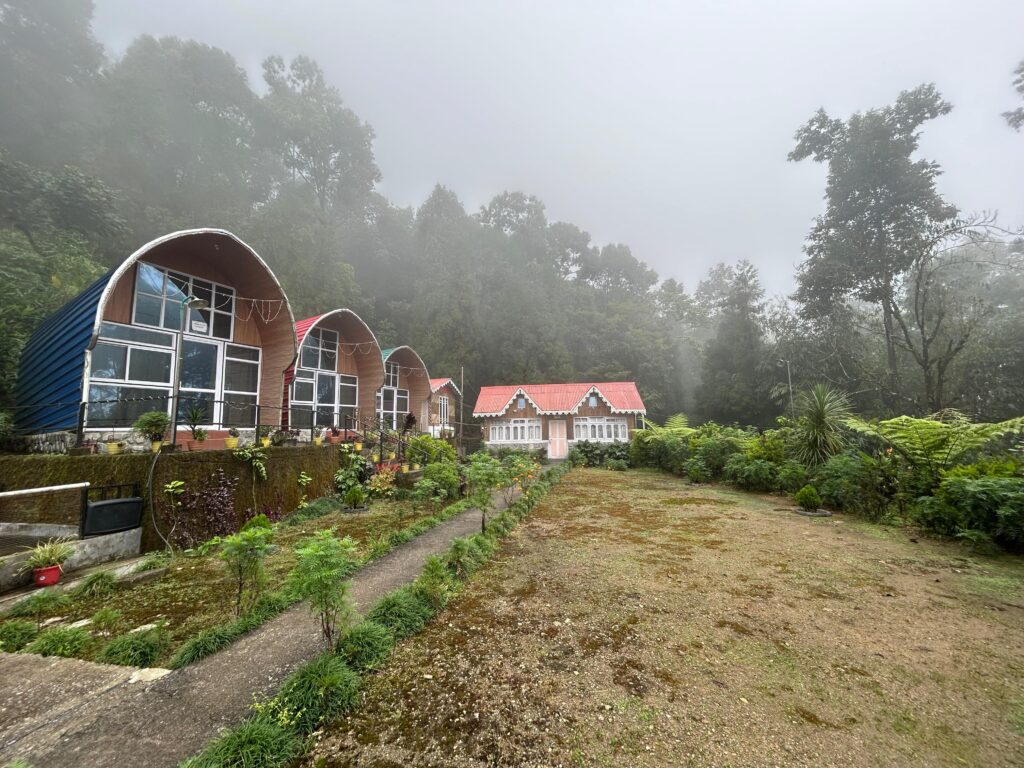 bloom homestay,sittong